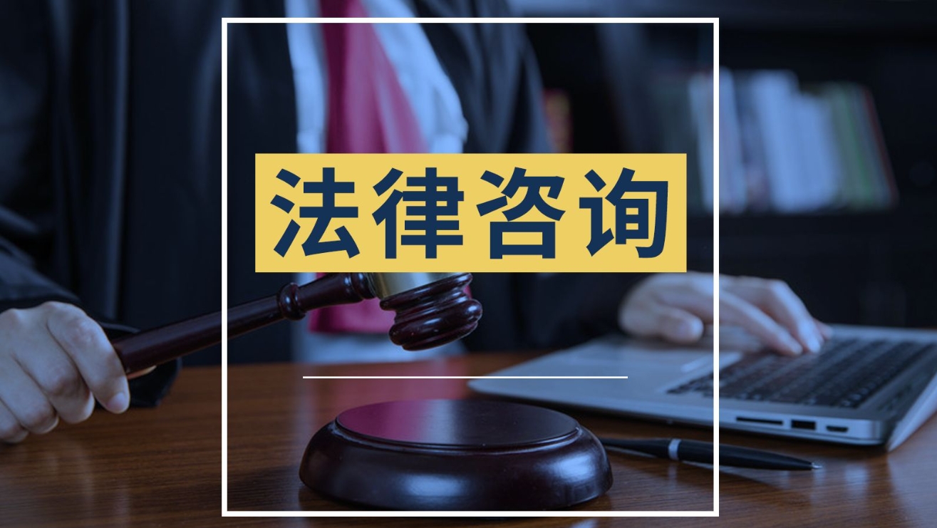 重大决策法律咨询