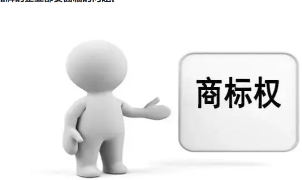 知识产权与品牌保护