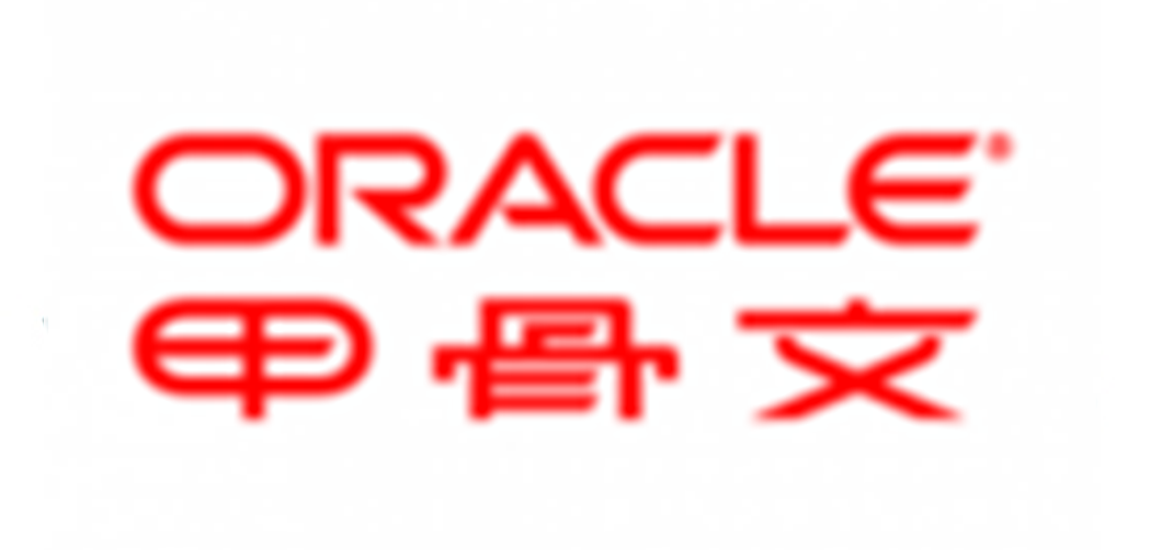 甲骨文（中国）软件系统有限公司（Oracle）